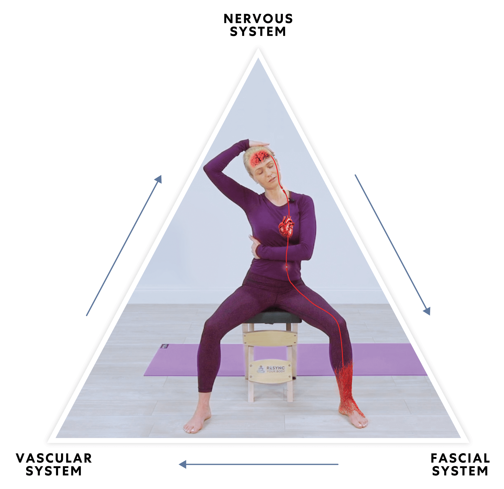 3 SYSTEMS YOGA TRIANGLE