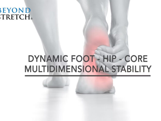 Dynamic Foot Hip Core Multidimensional Stability