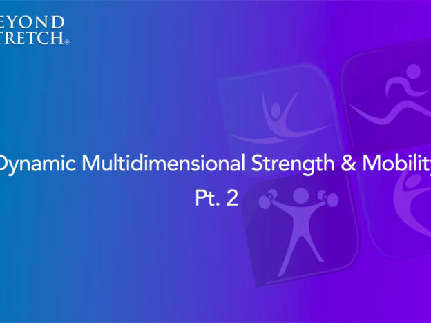 Dynamic Multidimensional Strength & Mobility2