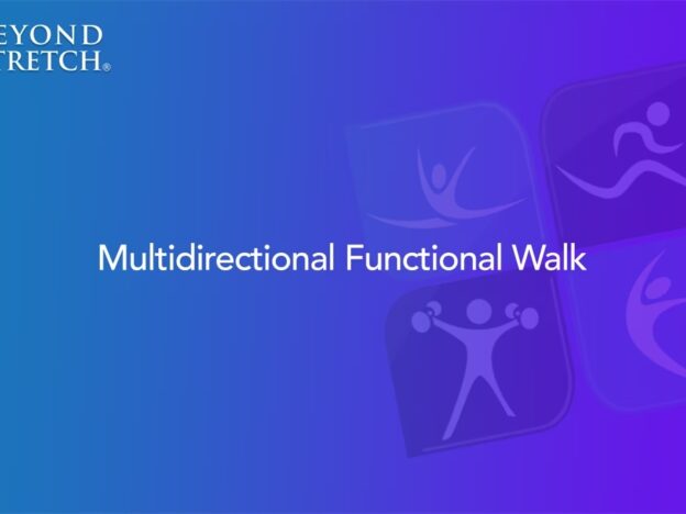 MultidirectionalFunctionalWalk