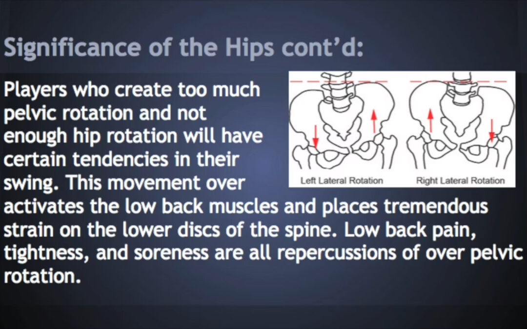 Significance of the Hips